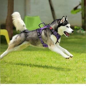 PoyPet No Pull Dog Harness, Reflective Vest Harness light 💡